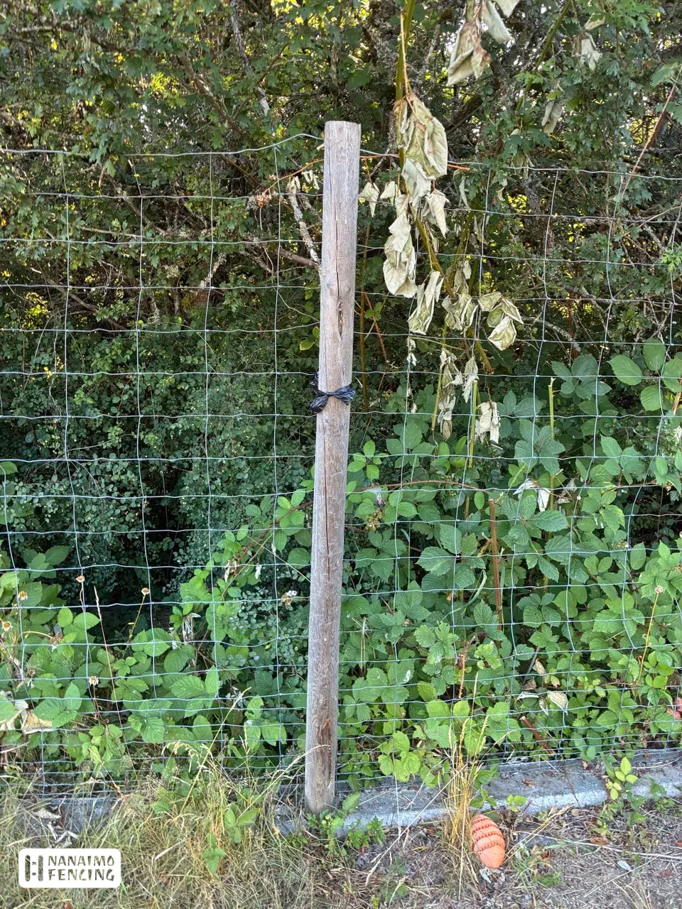 Commercial chain link fence with rolling gate